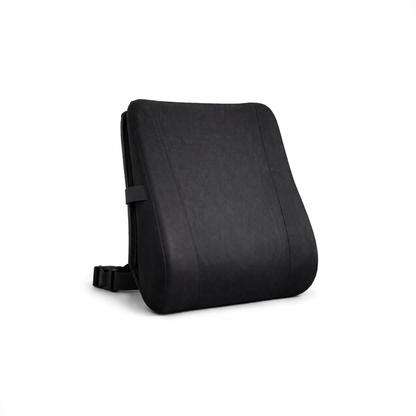 Back Cushion