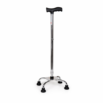 Quadripod Cane